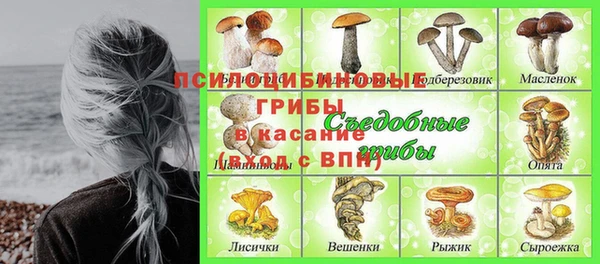 дурь Касимов