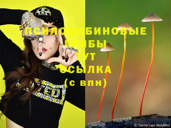 PSILOCYBIN Карпинск