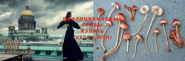 PSILOCYBIN Карпинск