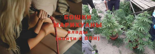 PSILOCYBIN Карпинск